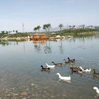 用户1260009860275头像