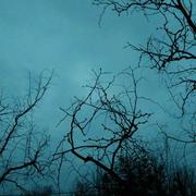 南国叶的个人资料头像