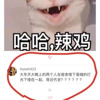 随性自由的桃源水头像