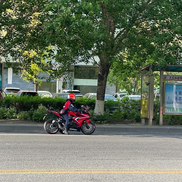 best模型头像