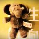 方片的个人资料头像