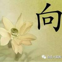 相濡以沫6326头像