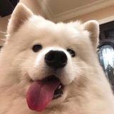 我没吃饱头像