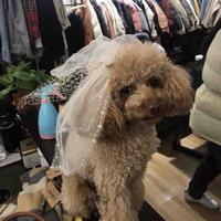 武义沃尔玛棉麻之家头像