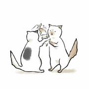 木语的个人资料头像