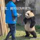 无名小草147256791头像