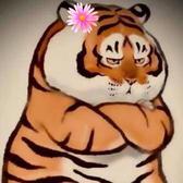 南风知我意8312头像
