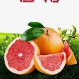 积极的西柚gK头像