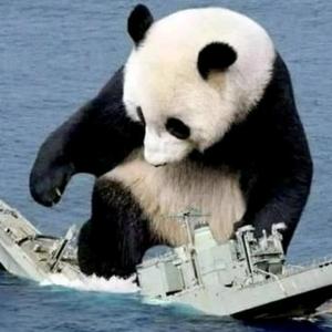 ①支穿云箭➳头像