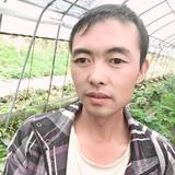 忍者无敌头像