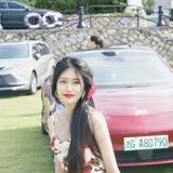 优雅小恐龙pro头像