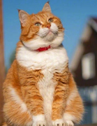 G_Fly的个人资料头像