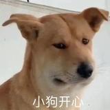 海之蓝九点半头像