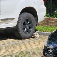 爱生活的书签2E5头像