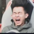燕子头像