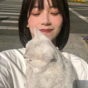 深海沉石的个人资料头像