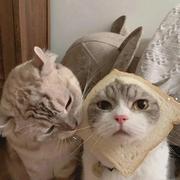 用户3051839350689的个人资料头像