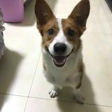 2965038头像