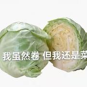 Amateur596的个人资料头像