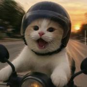 打扰橙子大人了的个人资料头像