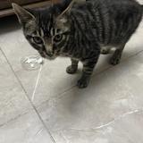 风之子200573523头像