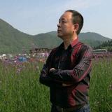 晨风拂柳115头像