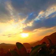 Likethewind的个人资料头像