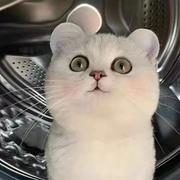 随风226的个人资料头像