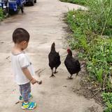 关在路上头像