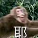 品行败坏的善人头像