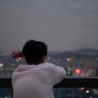 二师兄会上树头像