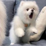 ∞头像