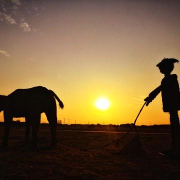 正能量饭团SO头像