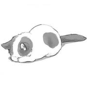 夏雨619的个人资料头像