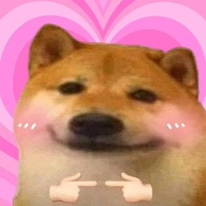 Cheems叮不懂头像
