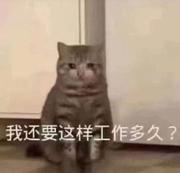 仙女味软糖的个人资料头像