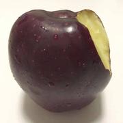 时上先生的个人资料头像