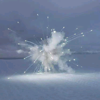 随心的大鹏头像