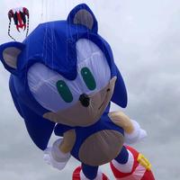 大海里的Nemo头像