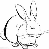 戒烟我戒酒你头像