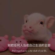 会吃肉的鱼的个人资料头像