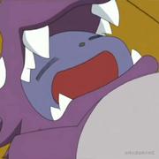 裤头x的个人资料头像