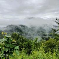 用户4658377258439头像