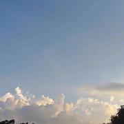 ZL598的个人资料头像