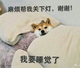 ┽里红妆酔荭尘头像