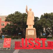 一杯子幸福9527的个人资料头像