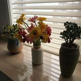 好运连连好头像