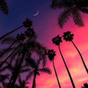 发挥的个人资料头像