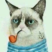 火炜的个人资料头像