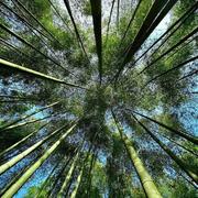 周晓东的个人资料头像